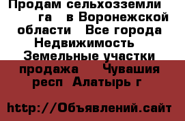 Продам сельхозземли ( 6 000 га ) в Воронежской области - Все города Недвижимость » Земельные участки продажа   . Чувашия респ.,Алатырь г.